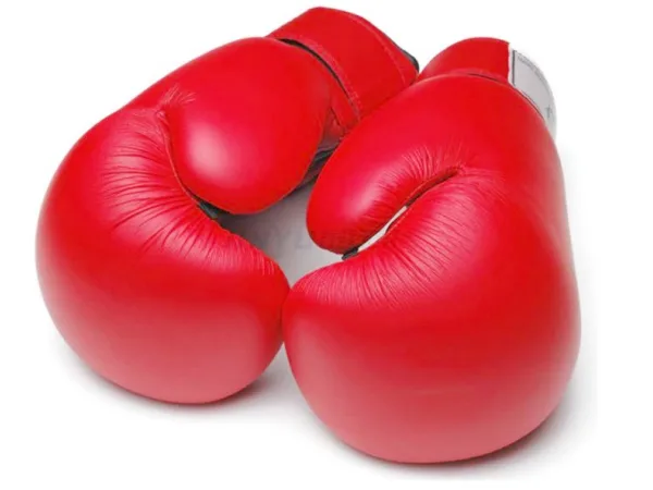 Doublures en mousse pour gants de boxe